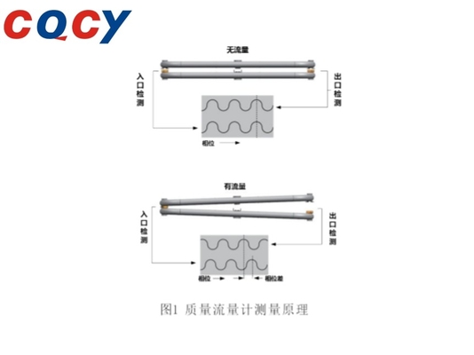 Stable Accurate Coriolis Flow Meter Mass Flowmeter Gas Slurry Media 3mm